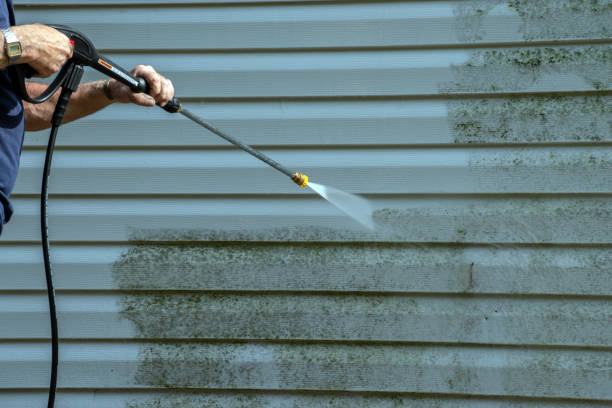 Best Roof Power Washing Services  in St Paul, MN